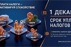 Как получить и оплатить налоговое уведомление через ЕПГУ?????